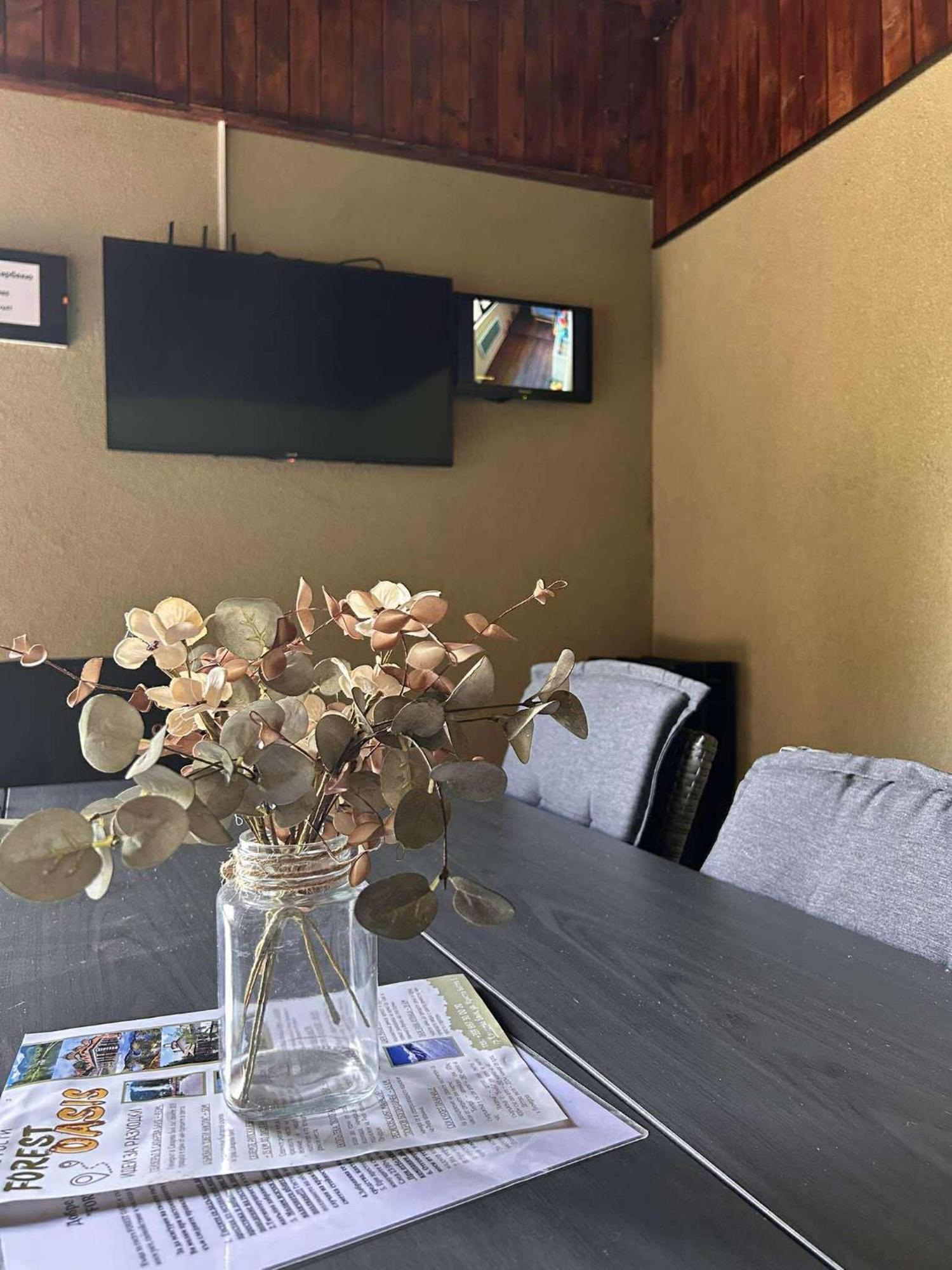 Forest Oasis Guest House Free Parking Sapareva Banya Ngoại thất bức ảnh